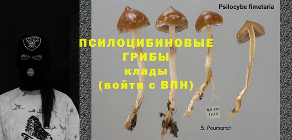 прущие крисы Краснослободск