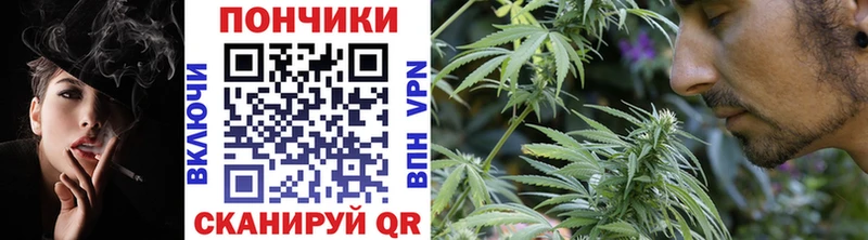 Конопля LSD WEED  Купить закладки  Южно-Сухокумск 